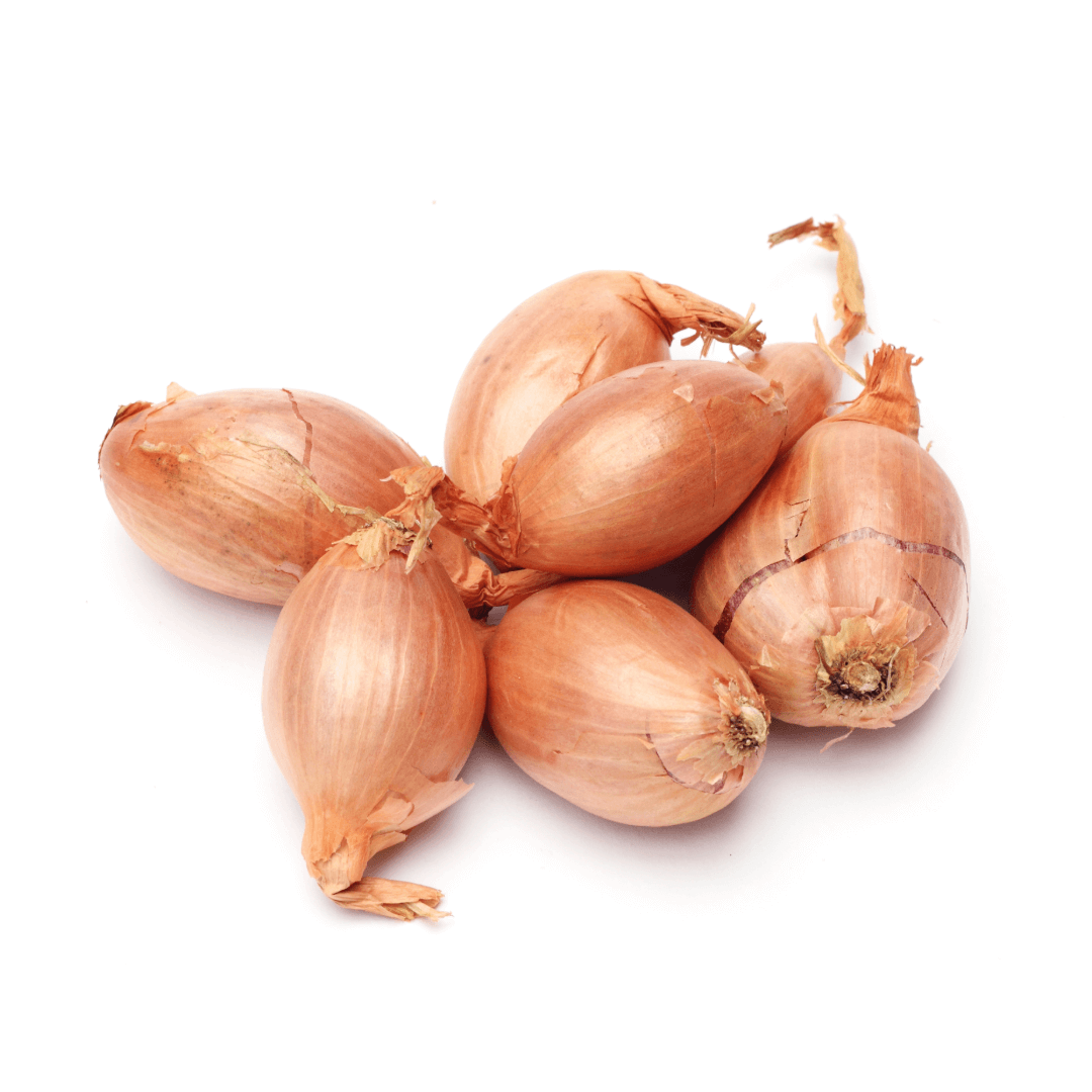 Cebula szalotka. 27,40 zl/kg