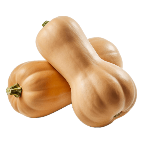 Dynia pizmowa. 13,90 zl/szt.