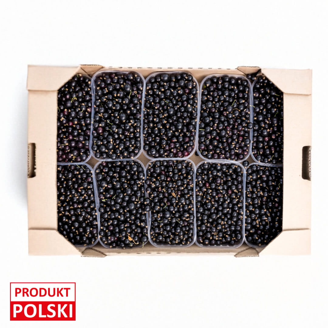 Porzeczka czarna - paletka 10x500g. 22,90 zl/kg