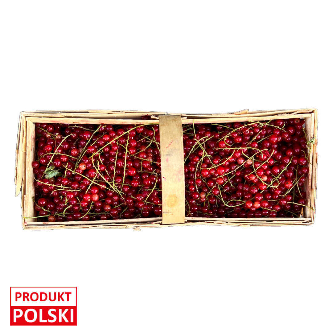 Porzeczka czerwona - koszyk 2kg. 19,90 zl/kg