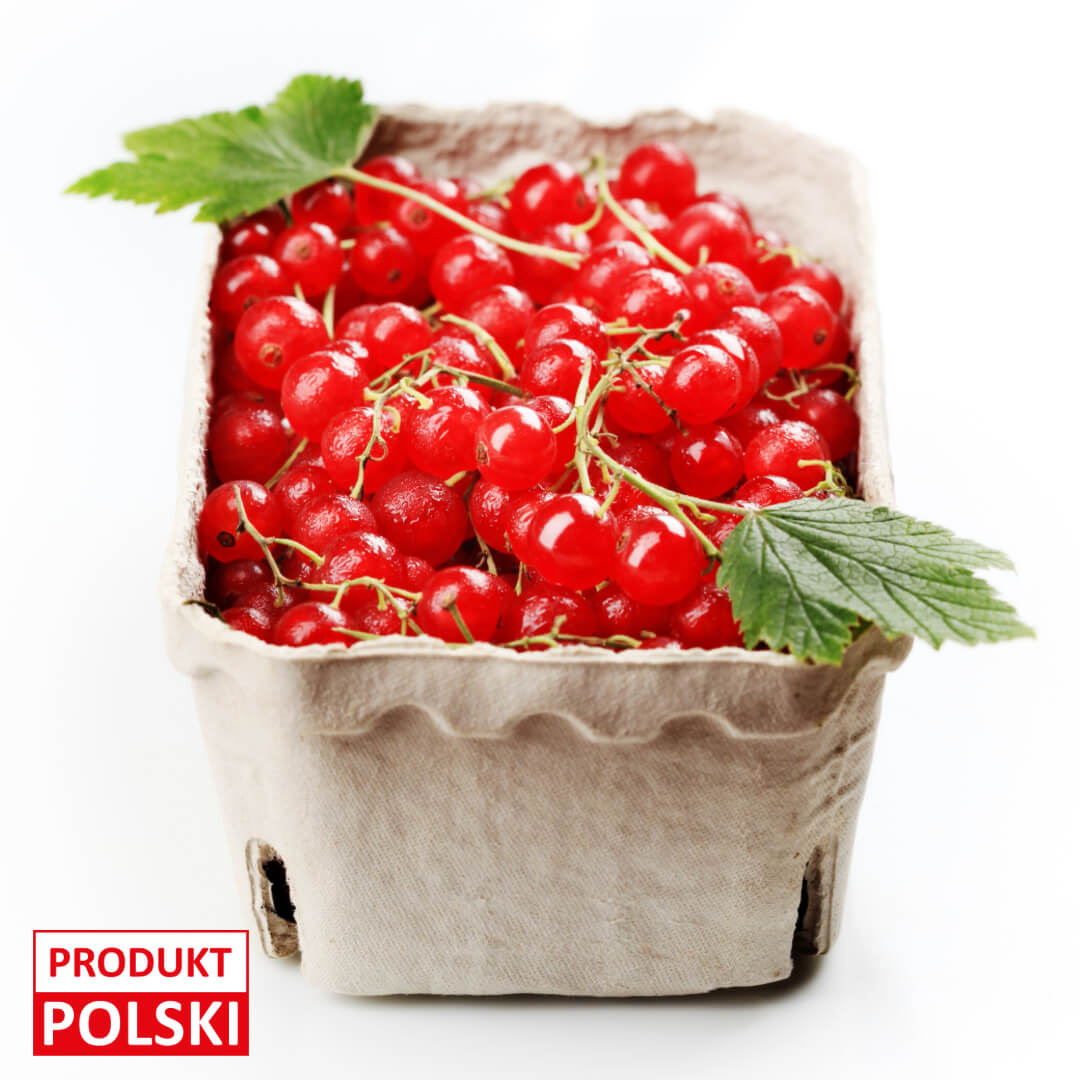 Porzeczka czerwona - opakowanie 250g. 6,90 zl/opak.