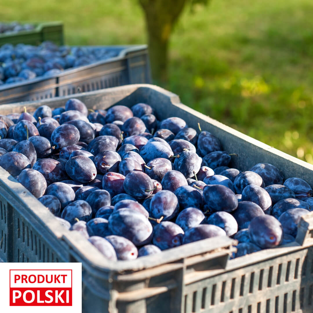 Sliwka wegierka - paczka 20kg. 6,90 zl/kg