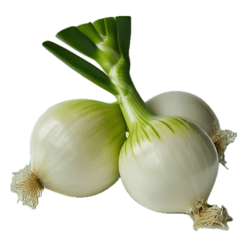 Cebula mloda. 6,40 zl/kg